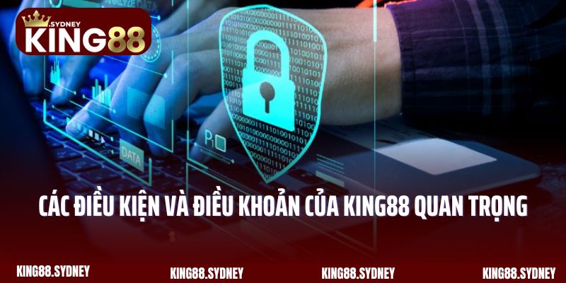 Các điều kiện và điều khoản của King88 quan trọng