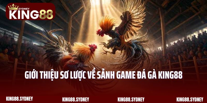 Giới thiệu sơ lược về sảnh game đá gà King88 siêu nổi tiếng